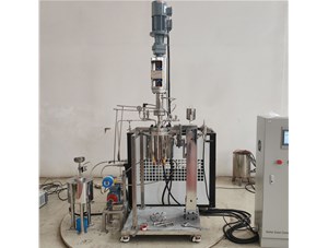 1.5L不銹鋼油浴電加熱實(shí)驗(yàn)釜已完工發(fā)往馬來(lái)西亞