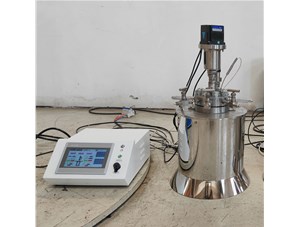 0.3L高溫高壓不銹鋼電加熱反應(yīng)釜已完工發(fā)往俄羅斯