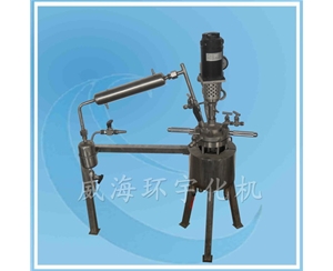 上海Visible Glass Reactor