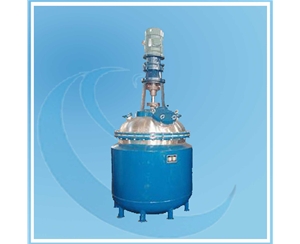 上海Pilot Reactor
