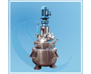 上海Pilot Reactor