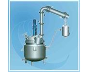 上海Polyester Reactor