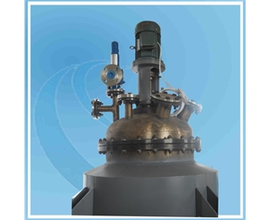 上海200L Pilot Reactor