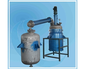 上海Polyester Reactor