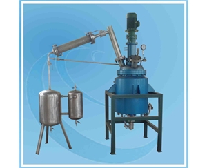 上海100L Reactor with condenser