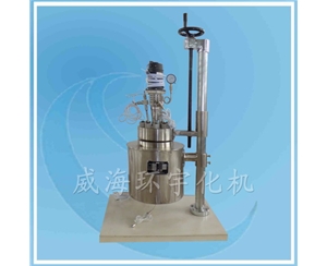 上海Lift and Flip Reactor