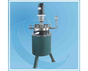 上海3L Hydrogenation Reactor