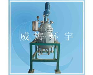 上海100L Cladding Plate Reactor SS304+Q345R Reactor