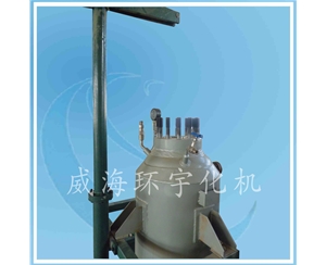 上海100L Low temperature Reactor