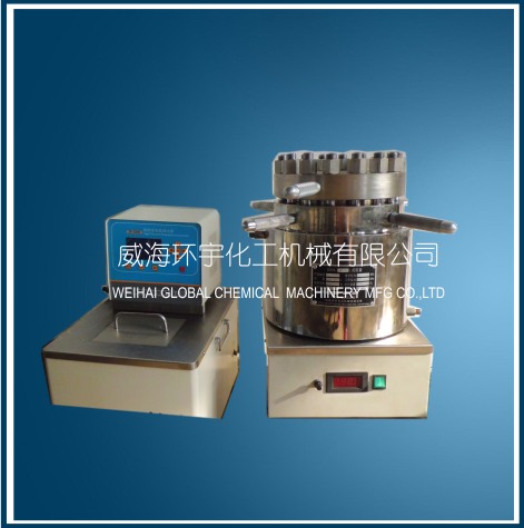 上海實驗室高壓反應容器配高溫循環(huán)器